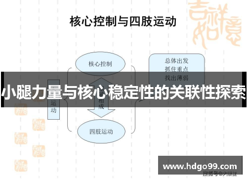 小腿力量与核心稳定性的关联性探索