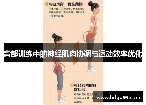 背部训练中的神经肌肉协调与运动效率优化