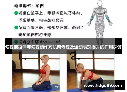 恢复期拉伸与恢复动作对肌肉修复及运动表现提升的作用探讨